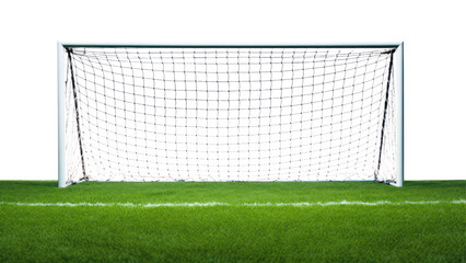 Fototapeta premium PNG Football sports grass plant
