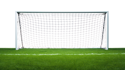 PNG Football sports grass plant