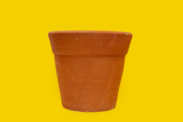 Plant pot on yellow background.