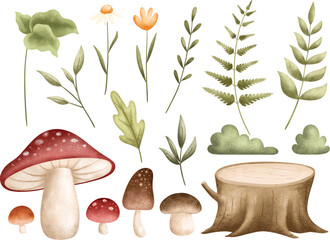 Fototapeta premium Watercolor Illustration Set of Forest Plants Leaves and Mushroom