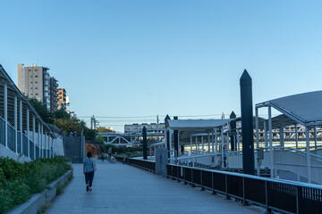夏の夕刻の隅田川遊覧船乗り場付近の風景（浅草側）