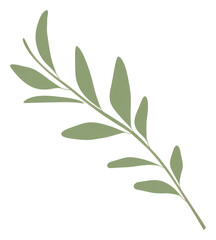 Fototapeta na wymiar PNG Illustration of a simple Twig Green Leaves green plant herbs