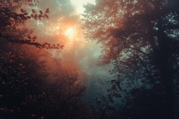 Misty sunrise through dense forest trees - A serene landscape depicting the sun's rays piercing through the mist and trees, invoking a sense of calmness and wonder - obrazy, fototapety, plakaty