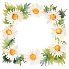 Frame with daisies. Watercolor illustration on white background.