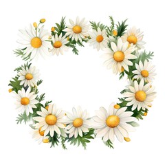 Watercolor floral wreath with chamomile flowers and leaves