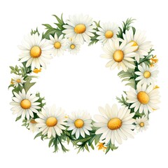 Fototapeta premium Wreath of chamomile flowers. Floral wreath isolated on white background. Watercolor illustration.