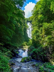 青空バックに見る新緑に包まれた神庭の滝の情景