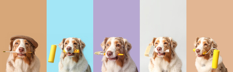 Set of cute dog with paint rollers and brushes on color background