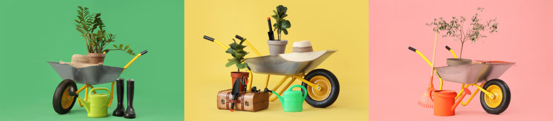 Group of gardening tools with wheelbarrow and plants on color background