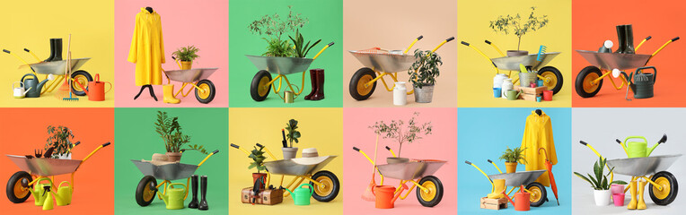 Set of gardening tools with wheelbarrow and plants on color background
