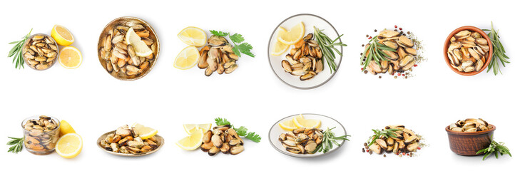 Set of tasty marinated mussels on white background