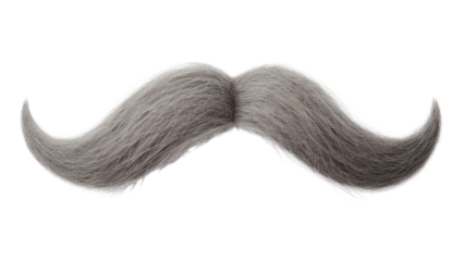 PNG Mustache mustache white background moustache