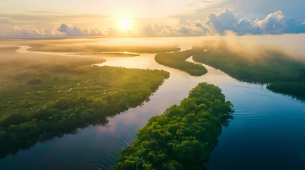  view of the amazon river © jazzy