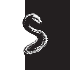 Serpent illustration banner