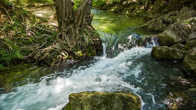 the rapid flow of river water between rocks and wood around the forest the camera HD 