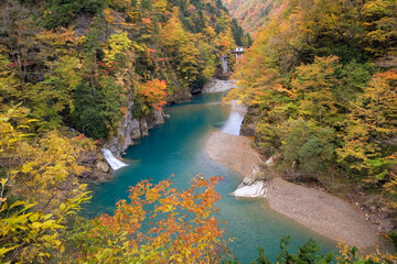 紅葉の抱返り渓谷