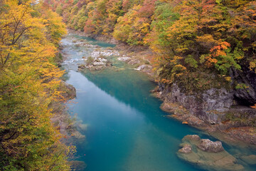 紅葉の抱返り渓谷