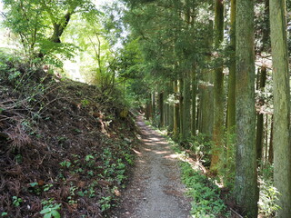東京都青梅市　御嶽山から日の出山への登山道