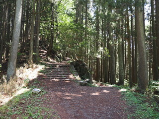 東京都青梅市　御嶽山から日の出山への登山道