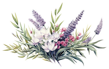 PNG Herbs blossom flower plant