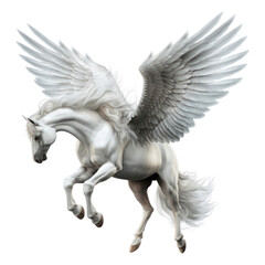 PNG Pegasus animal angel bird