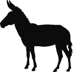 horse, silhouette, animal, vector, black, illustration, sport, riding, rider, equestrian, farm, animals, white, equine, running, isolated, stallion, horses, race, mare, mammal, pony, horseback, nature