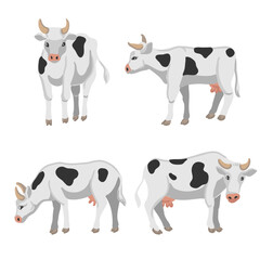 vector drawing white cows, farm animals isolated at white background, hand drawn illustration