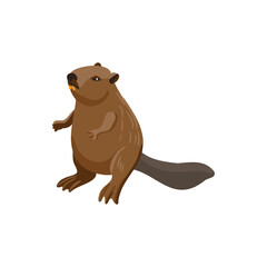 vector drawing beaver, cartoon animal isolated at white background, hand drawn illustration