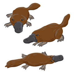 vector drawing duck-billed platypus, cartoon animals isolated at white background, hand drawn illustration