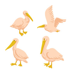 vector drawing pelicans, wild birds isolated at white background, hand drawn illustration - 785843809