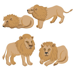 vector drawing lions, cartoon animals isolated at white background, hand drawn illustration