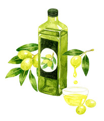 オリーブオイル　食用油の手描き水彩イラスト素材