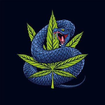 colored illustration of Marijuana Leaf with Snake