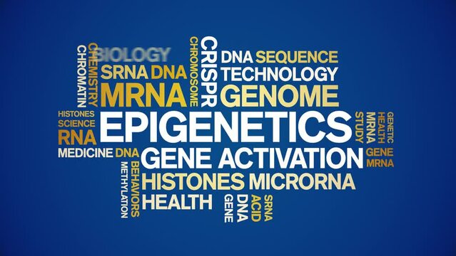 Epigenetics animated word cloud;text design animation tag kinetic typography seamless loop.