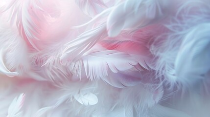 Soft, abstract feathery textures in whites and pinks, conveying tenderness and gentle affection. - obrazy, fototapety, plakaty