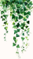 green leaves hanging ceiling simple curvilinear ivy illustration white long straight hair overwatch connected nature via vines morning glory flowers shackled