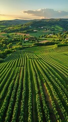 Fototapeta premium Panel discussion outline on the future of agricultural yields with statistical climate adaptation strategies, innovative and forwardthinking