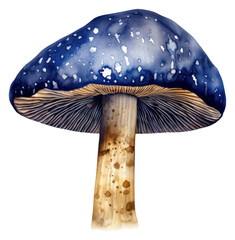 Indigo mushroom fungus agaric plant - obrazy, fototapety, plakaty