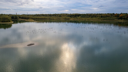 This serene image showcases a sunlit lake, the light delicately playing on the water's surface,...