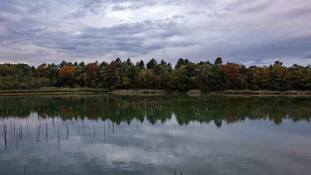 The image captures the essence of autumn with a tranquil lake in the foreground and a forest showcasing a palette of fall colors. The overcast sky above sets a serene mood, with the water mirroring