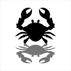 crab on white background