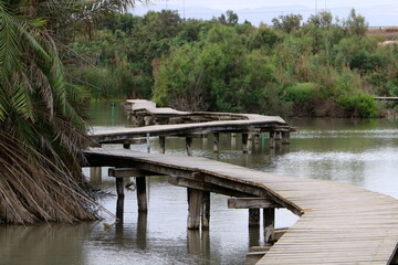 Ein Afek Nature Reserve in northern Israel. Wetland with an abundance of animals and accessible trails