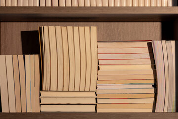 The bookcase is neatly arranged with books