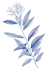 PNG Foliage drawing sketch flower