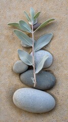 Fototapeta na wymiar Olive branch and zen stones on sandy background. A serene and peaceful image capturing an olive branch beside smooth stones on a textured sandy surface, symbolizing tranquility and nature simplicity