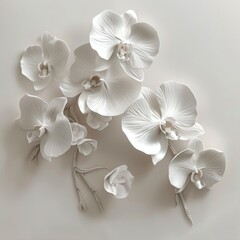 Elegant orchids with detailed petals