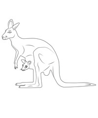 kangaroo coloring page for kids,  Art & Illustration