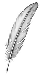 PNG Quill feather drawing sketch white