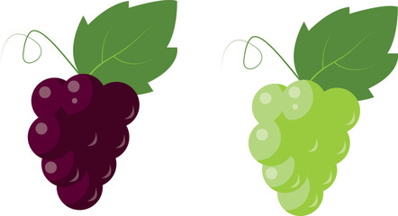 Grapes icon set, red and white. Different grape vine types. Wine logo art, isolated cartoon illustration