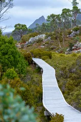 Glasbilder Cradle Mountain wooden path in the mountains